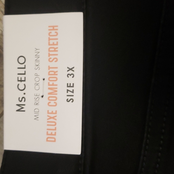 NWT-Cello Plus Size Pull On Pant - Picture 6 of 7